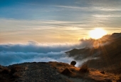 IIP Online Student Photography